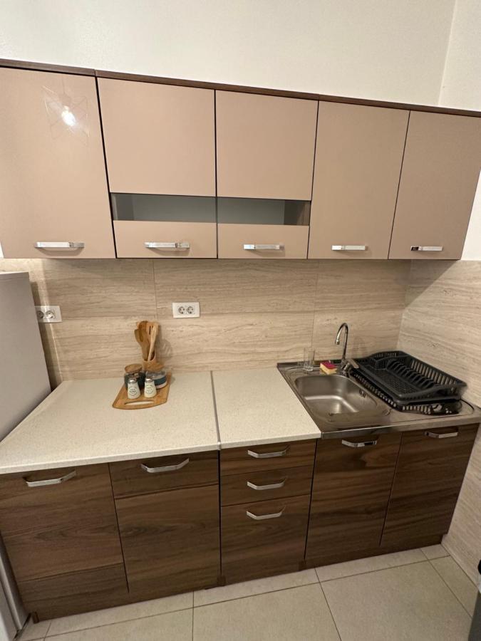 Irina Centre Apartment Podgoriçe Dış mekan fotoğraf